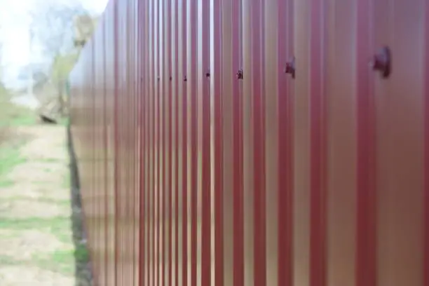 Colorbond Fence