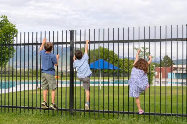 Pool Fence