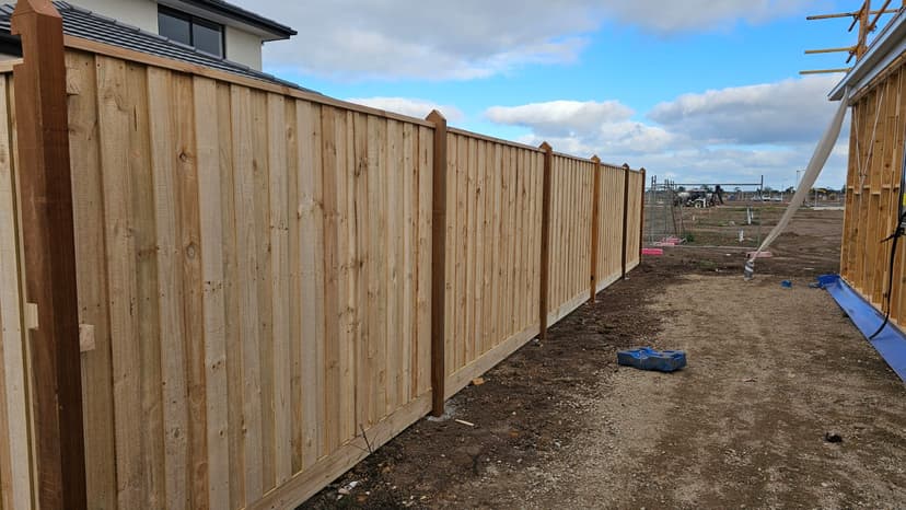 Timber Paling Fence