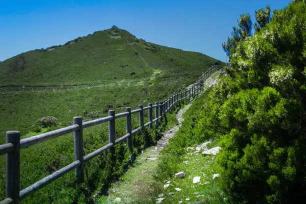 Traditional Fencing